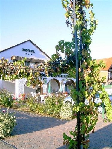 Hotel Gutshof Ziegelhuette Edenkoben Zewnętrze zdjęcie